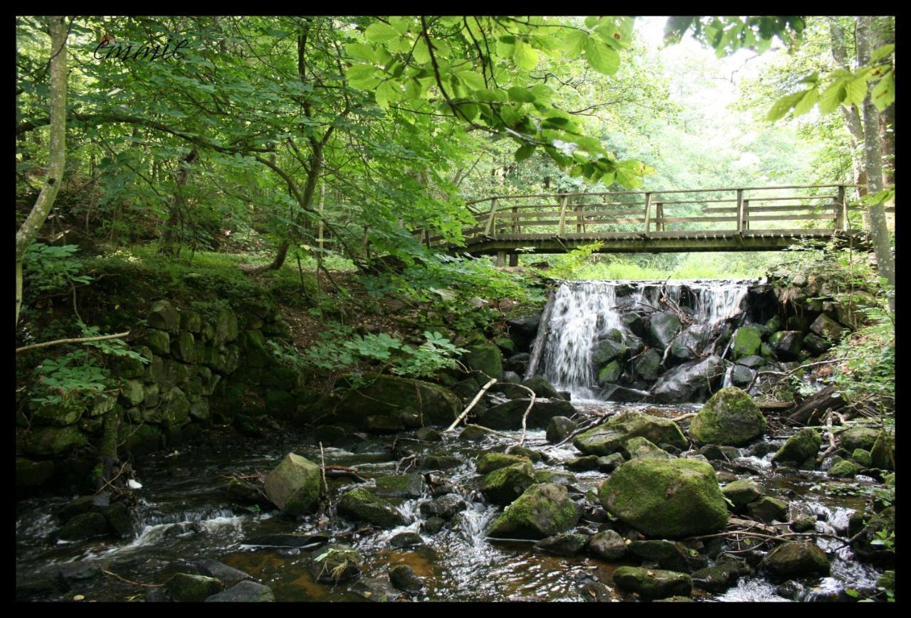 Lodge Stugby *